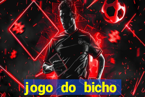 jogo do bicho crash bingo